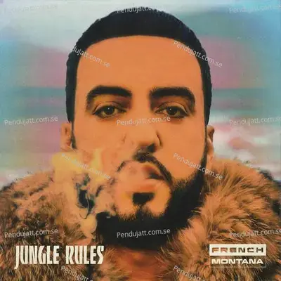 A Lie - French Montana album cover 