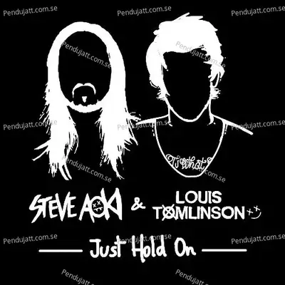 Just Hold On - Steve Aoki