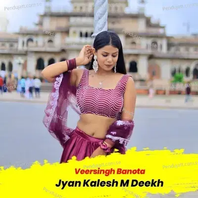 Jyan Kalesh M Deekh - Veersingh Banota album cover 