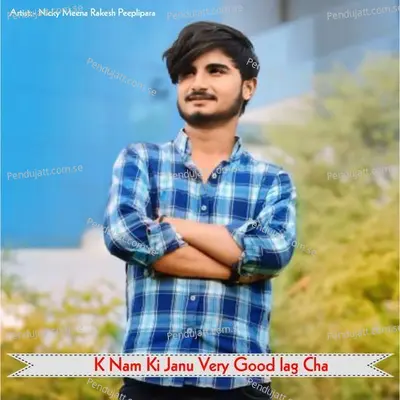 K Nam Ki Janu Very Good Lag Cha - Nicky Meena Rakesh Peeplipara album cover 