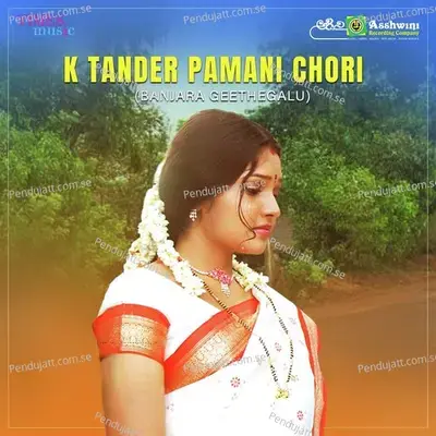 He Tandera Pamani - H.B. Pareet album cover 