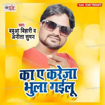 Kahe Kareja Bhula Gailu - Babua Bihari album cover 