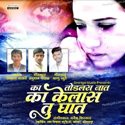 Ka Kelas Tu Ghat - Vikas Salve album cover 