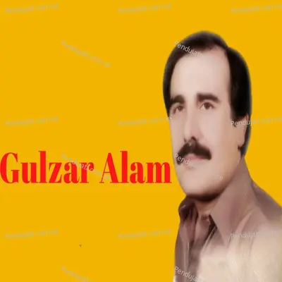 Raware Me De Gulona - Gulzar Alam album cover 