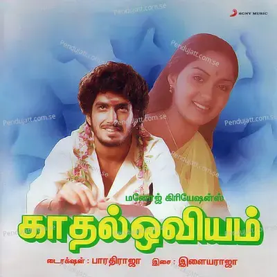 Nathiyil Aadum - Ilaiyaraaja album cover 