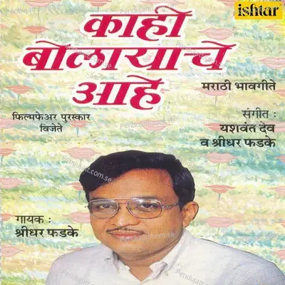 Tula Pahile Mi - Shridhar Phadke album cover 