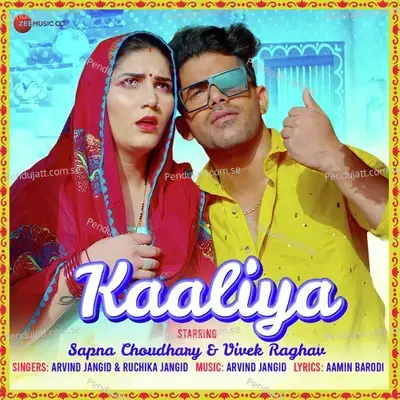 Kaaliya - Ruchika Jangid album cover 