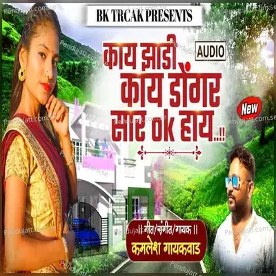 Kaay Zadi Kaay Dongar Sar Ok Haay - Kamlesh Gaikwad album cover 