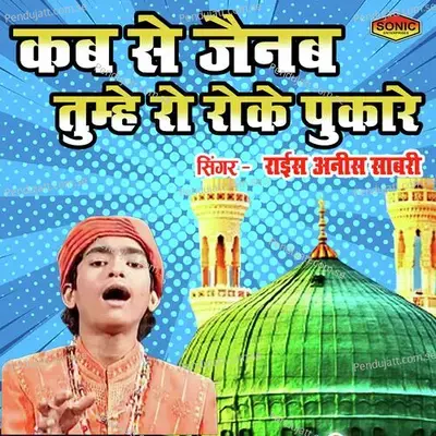 Kab Se Zainab Tumhe Ro Roke Pukare - Rais Anis Sabri album cover 