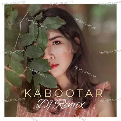 Kabootar - Purified DJ album cover 