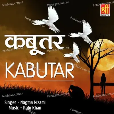 Rang Chehre Ka Uda Dungi - Nagma Nizami album cover 