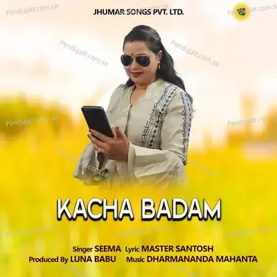 Kacha Badam - Seema album cover 