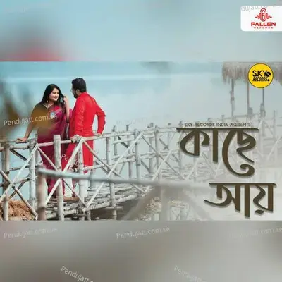 Kache Aye - Pushpendu Bhattacharjee album cover 