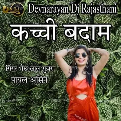 Kachi Badam - Bheru Lal Gurjar album cover 