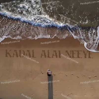 Kadal Alai Neeye - Sruthi Gopu album cover 