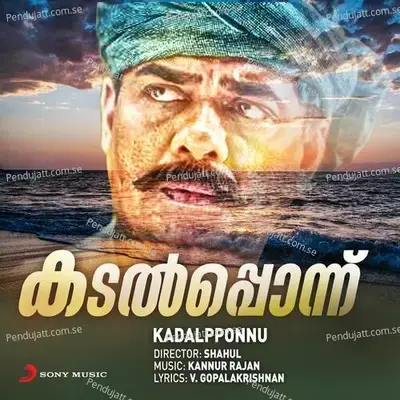 Shokavipanchi Than - Kannur Rajan album cover 