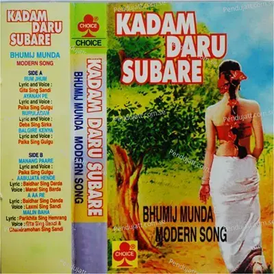 Kadam Daru Subare - Gita Sing Sandi cover album