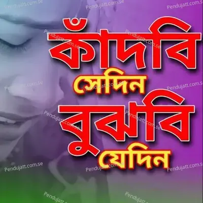 Kadbi Shedin Bujhbi Shedin - Ariful Islam album cover 