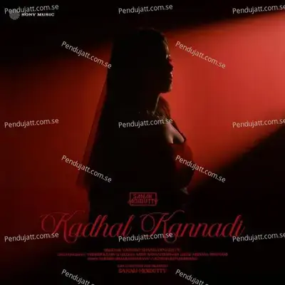 Kadhal Kannadi - Sanah Moidutty album cover 