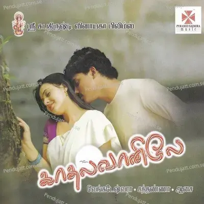 Yaarathu Yaarathu Povathu - Roshan album cover 