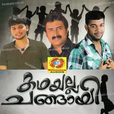 Musthafa Salaam - Adil Athu album cover 