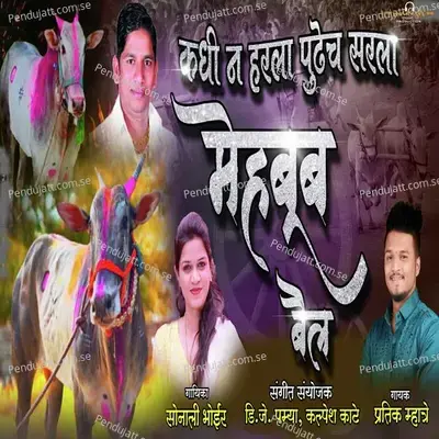 Kadhin Na Harala Pudhech Sarla Mehboob Bail - Pratik Mhatre album cover 