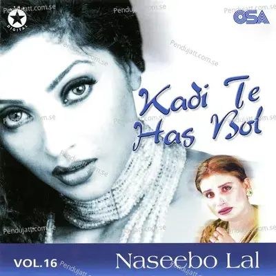 Dholna Ja Main Naeen Bolna - Naseebo Lal album cover 