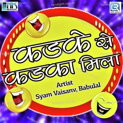 Ram Ras Meetho - Syam Vaisanv album cover 