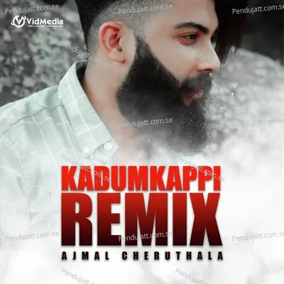 Kadumkappi Remix - Ajmal Cheruthala album cover 