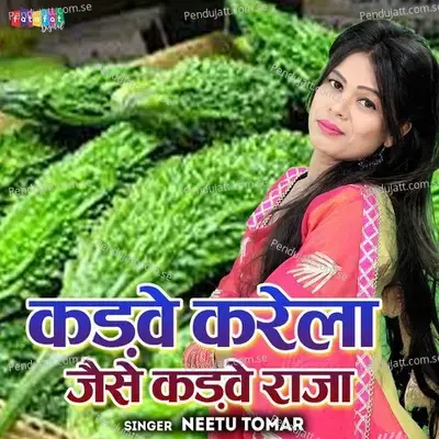 Kadve Karela Jaise Kadwe Raja - Neetu Tomar album cover 