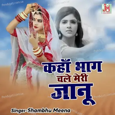Kaha Bhag Chale Meri Jaanu - Shambhu Meena album cover 
