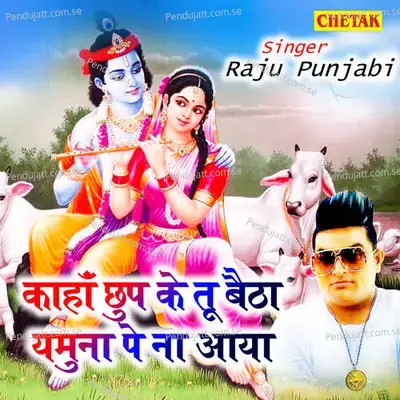 Kaha Chhup Ke Tu Baitha Yamuna Pe Na Aaya - Raju Punjabi album cover 