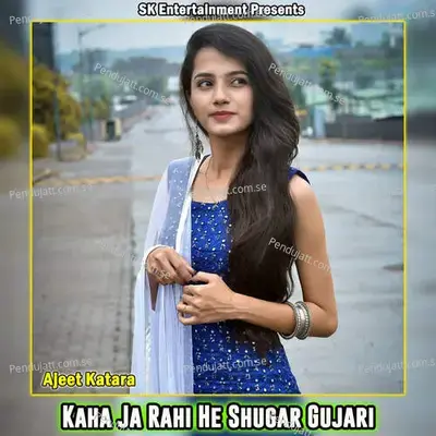 Kaha Ja Rahi He Shugar Gujari - Ajeet Katara album cover 