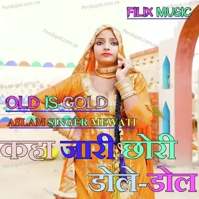 Kaha Jari Chhori Dole Dol - Aslam Singer Mewati album cover 