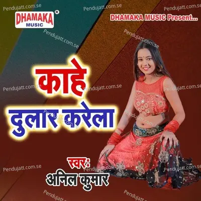 Kahe Dular Karela - Anil Kumar album cover 