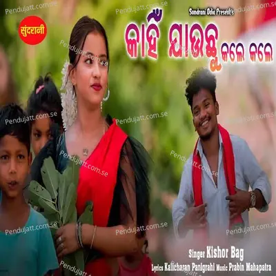 Kahin Jauchhu Kale Kale - Kishor Bag album cover 