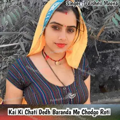 Kai Ki Chati Dedh Baranda Me Chodgo Roti - Vishnu Meena album cover 