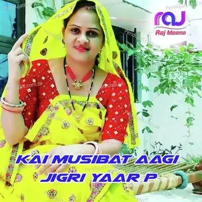 Kai Musibat Aagi Jigri Yaar P - Meena geet album cover 