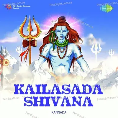 Nirvanashtakam - Kalyani Sunderarajan album cover 