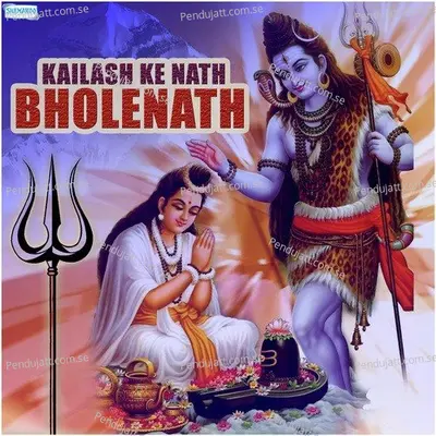 Chali Bhaiyya - Sunil Singh album cover 