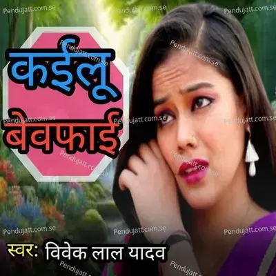 Kailu Bewafai - Vivek Lal Yadav album cover 