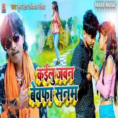 Kailu Jawan Bewafa Sanam - Radheshyam Rasiya album cover 