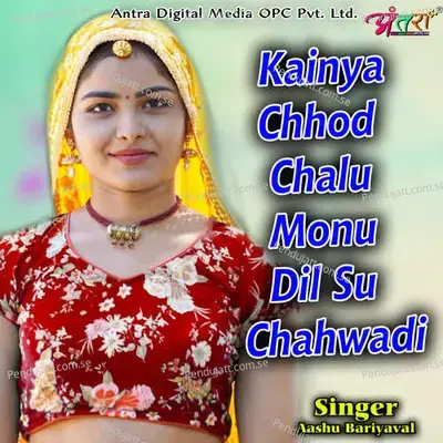 Kainya Chhod Chalu Monu Dil Su Chahwadi - Aashu Bariyaval album cover 