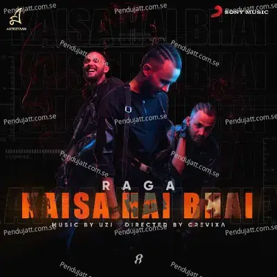 Kaisa Hai Bhai - Raga album cover 