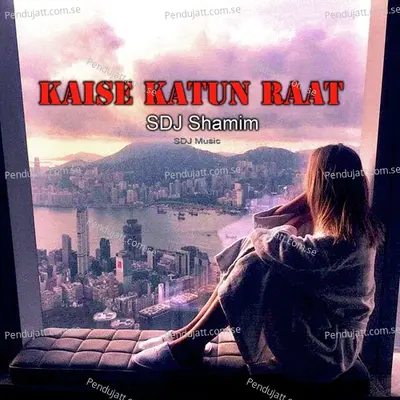 Kaise Katun Raat - SDJ Shamim album cover 