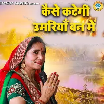 Kaisi Kategi Umariya Van Mai - Anita Chauhan album cover 