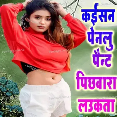 Kaisn  Penlu Paunt Pichhawara Laukata - Rahul Raj album cover 