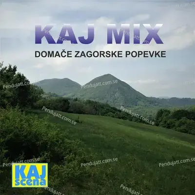 Pravi Fakin - ANSAMBL ZAGORJA album cover 