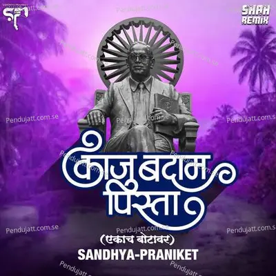 Kaju Badam Pista  Dj Mix - Sandhya Praniket album cover 