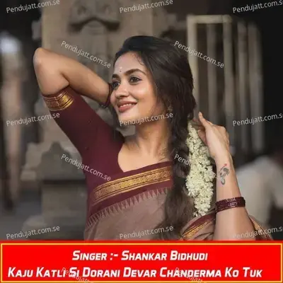 Kaju Katli Si Dorani Devar Chanderma Ko Tuk - Shankar Bidhudi album cover 